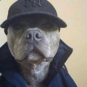 Meet your Posher, Stephen